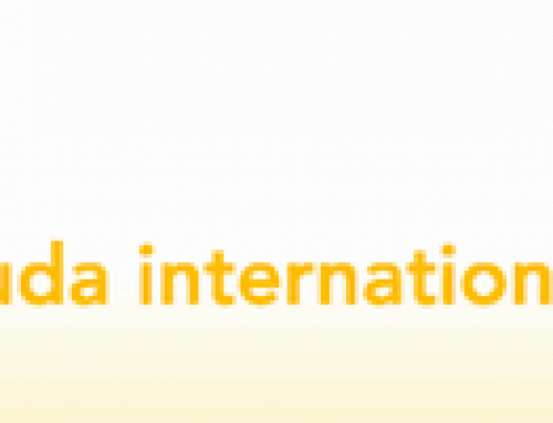 Bermuda International Eye Institute