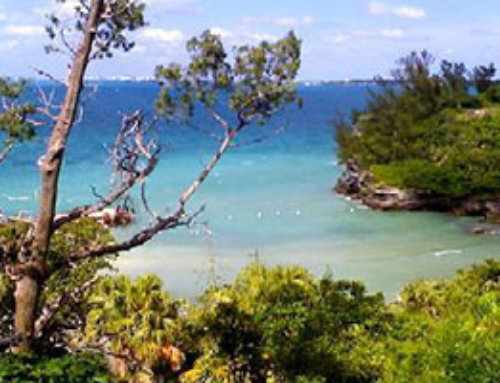 Clarence Cove, Bermuda