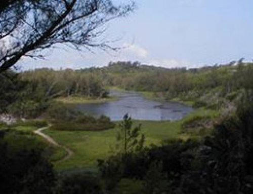 Cockroach Islands Nature Reserve