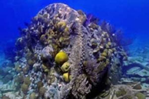 bermuda shipwreck tour