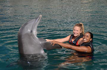 Dolphin Quest Bermuda