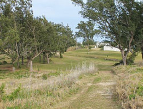 Ferry Reach Park