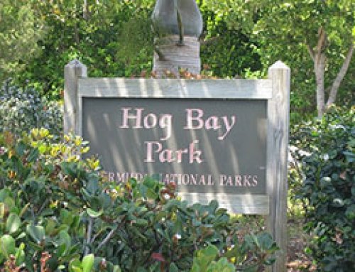 Hog Bay Park