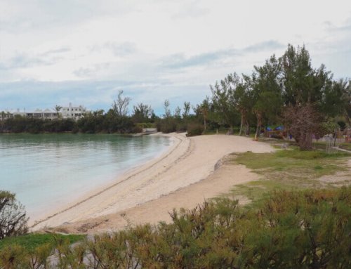 Shelly Bay Beach and Nature Reserve