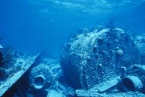 bermuda shipwreck tour