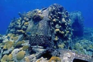 bermuda shipwreck tour