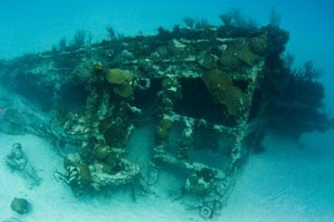 bermuda shipwreck tour