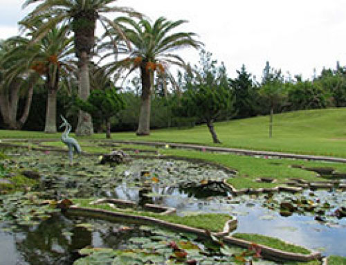 Palm Grove Gardens