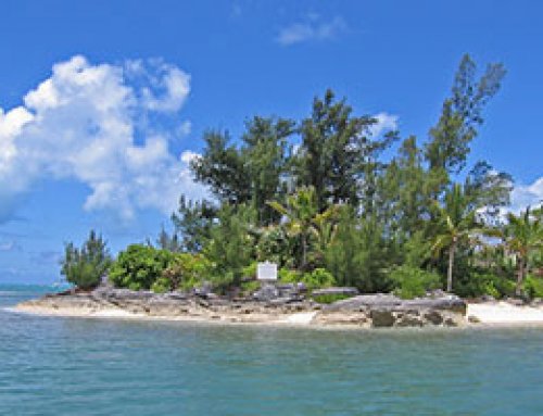 Palm Island Bermuda