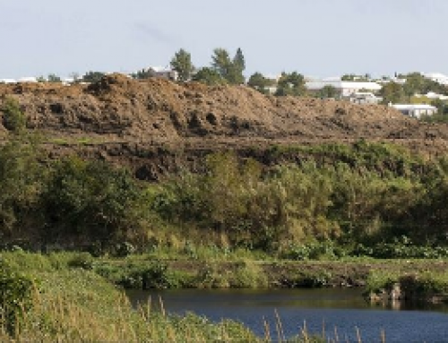 Pembroke Marsh Park