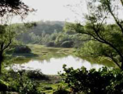 Spittal Pond Nature Reserve