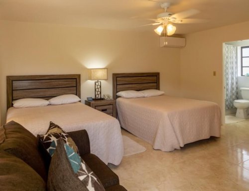 Sandpiper Apartments