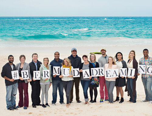 Bermuda Dreaming – An Instagram Initiative