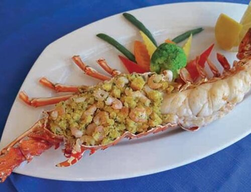 Savour the Season – Lobster Mania Part #1