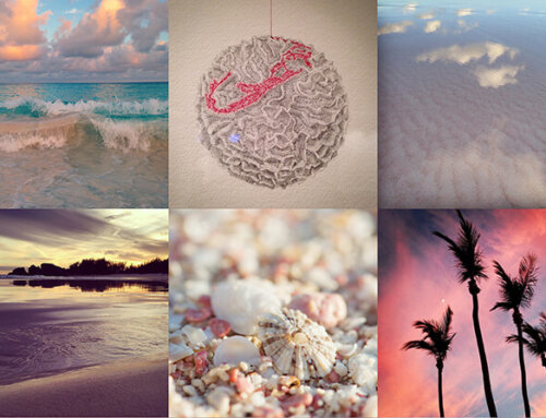 Bermuda Dreaming