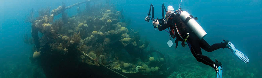 bermuda shipwreck tour