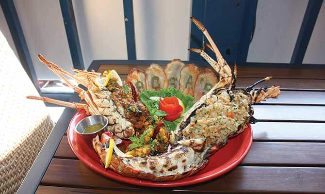 Rosas-Curried-Lobster