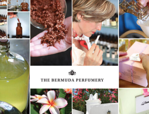Lili Bermuda Luxury Candles