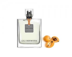 Bermuda Perfumery