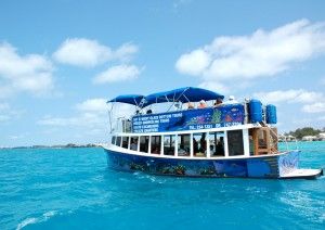 Island Tour Centre