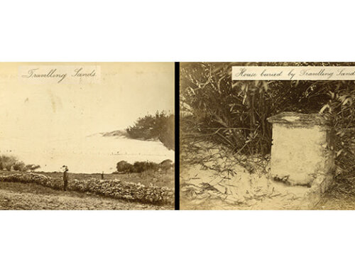 House of Sand in the Western North Atlantic