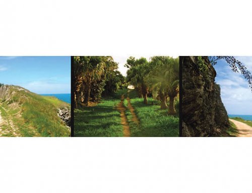 Bermuda Historical Stories: Walk the “Trail”, by Land and Sea
