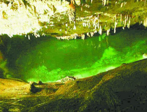 Do you know about Bermuda’s Caves