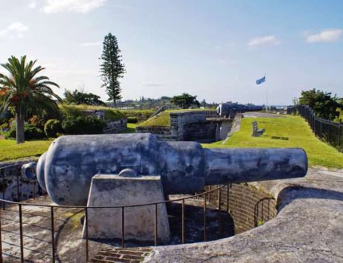 Bermuda Triangle Tram Tour