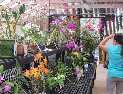 84th Agricultural Exhibition (AG Show)