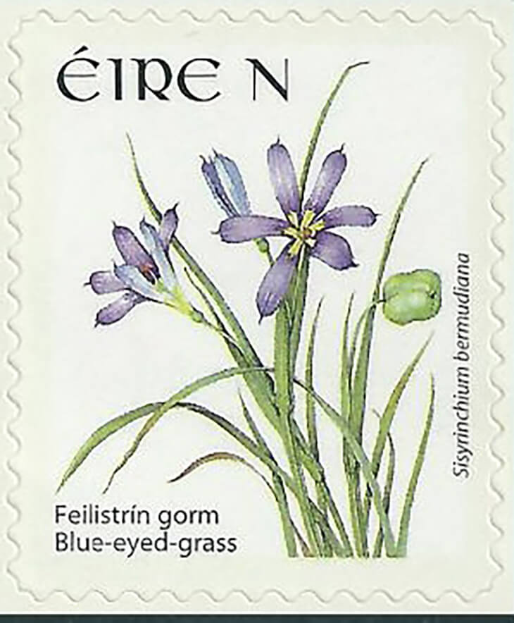 Do You Know About Bermuda’s National Flower and Ireland’s National Rate Postage Stamp?