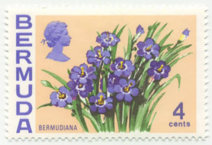 Do You Know... About Bermuda’s National Flower and Ireland’s National Rate Postage Stamp?