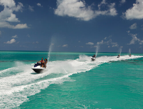 Trending Tours – See Bermuda Through the Eyes of a Local