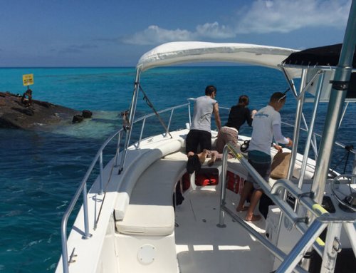 K.S. WaterSports – Boat Charters 28ft