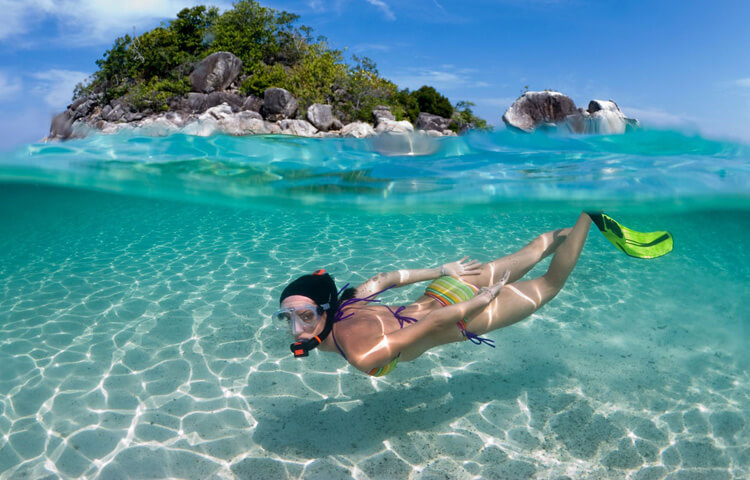 bermuda snorkeling trips