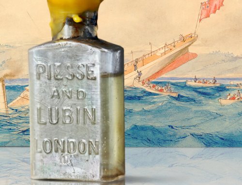 Mary Celestia – One of Bermuda’s Most Mysterious Shipwrecks and A Legendary Perfume by Lili Bermuda