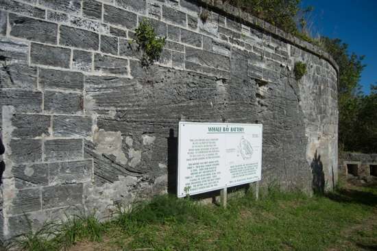 Whale Bay Battery