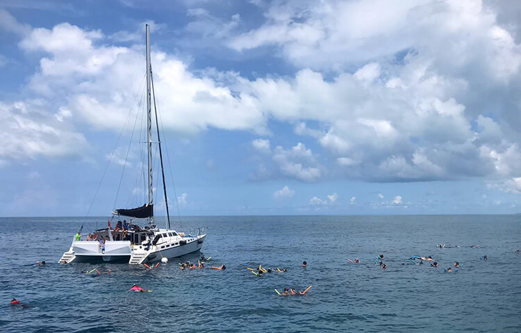 catamaran cruise bermuda