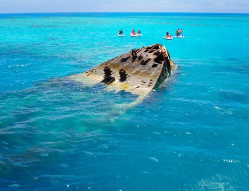 5 Reasons To Visit Bermuda