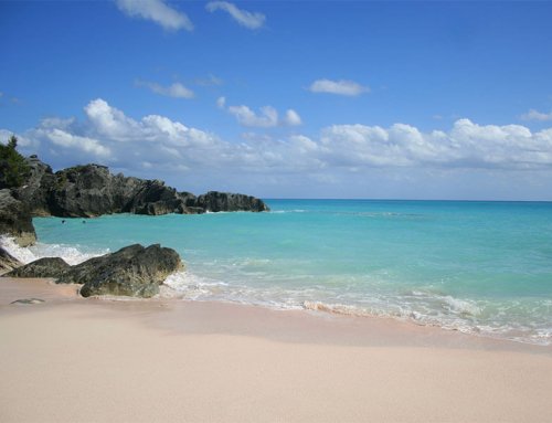 Visitors will soon return to Bermuda in larger numbers. Are you prepared?