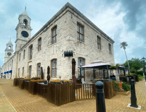 Best Patio In Dockyard For Pizza, Laughter and Fun For The Whole Family