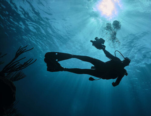 April Is Bermuda Dive Month