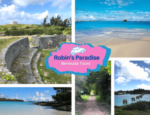 Robin’s Paradise Bermuda Tours