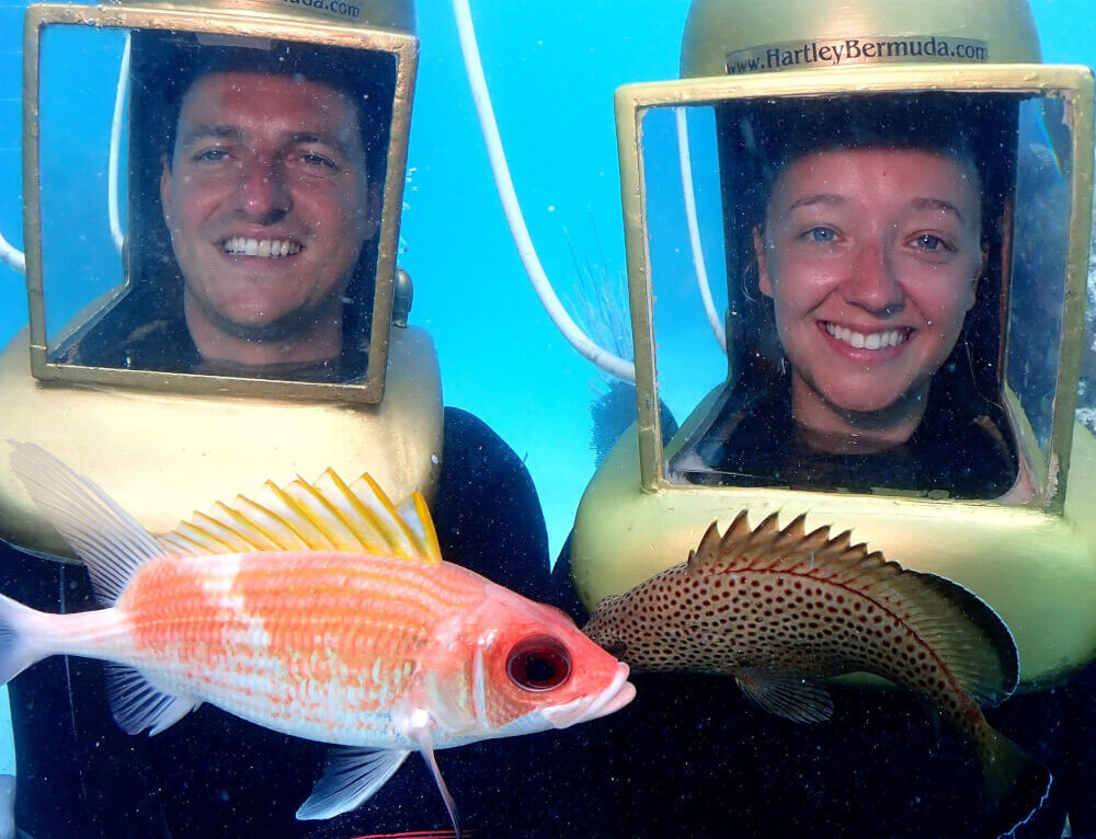 Snorkel Park Beach Bermuda