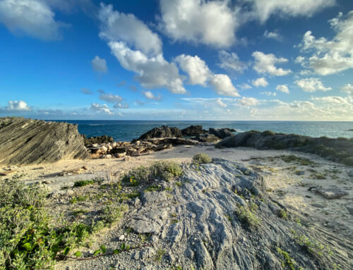 Off The Beaten Track – Exploring Bermuda