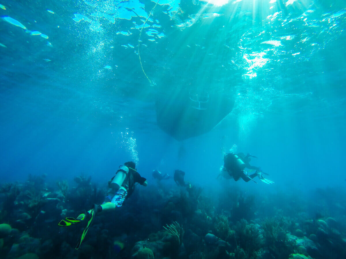 Scuba Diving in Bermuda