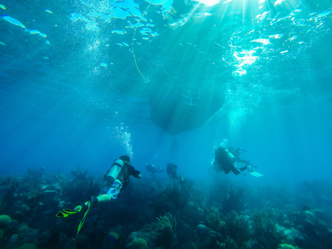 divers exploring scuba diving sites in Bermuda