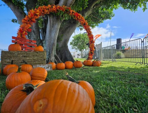 Bermuda Fall Festivals & Holiday Markets