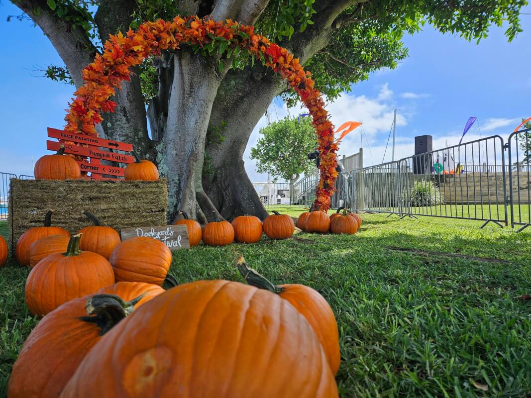 Dockyard Fall Festival