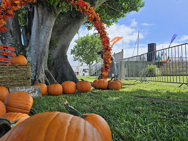 Dockyard Fall Festival